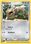 Zigzagoon