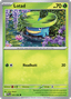 Lotad