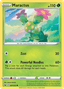 Maractus