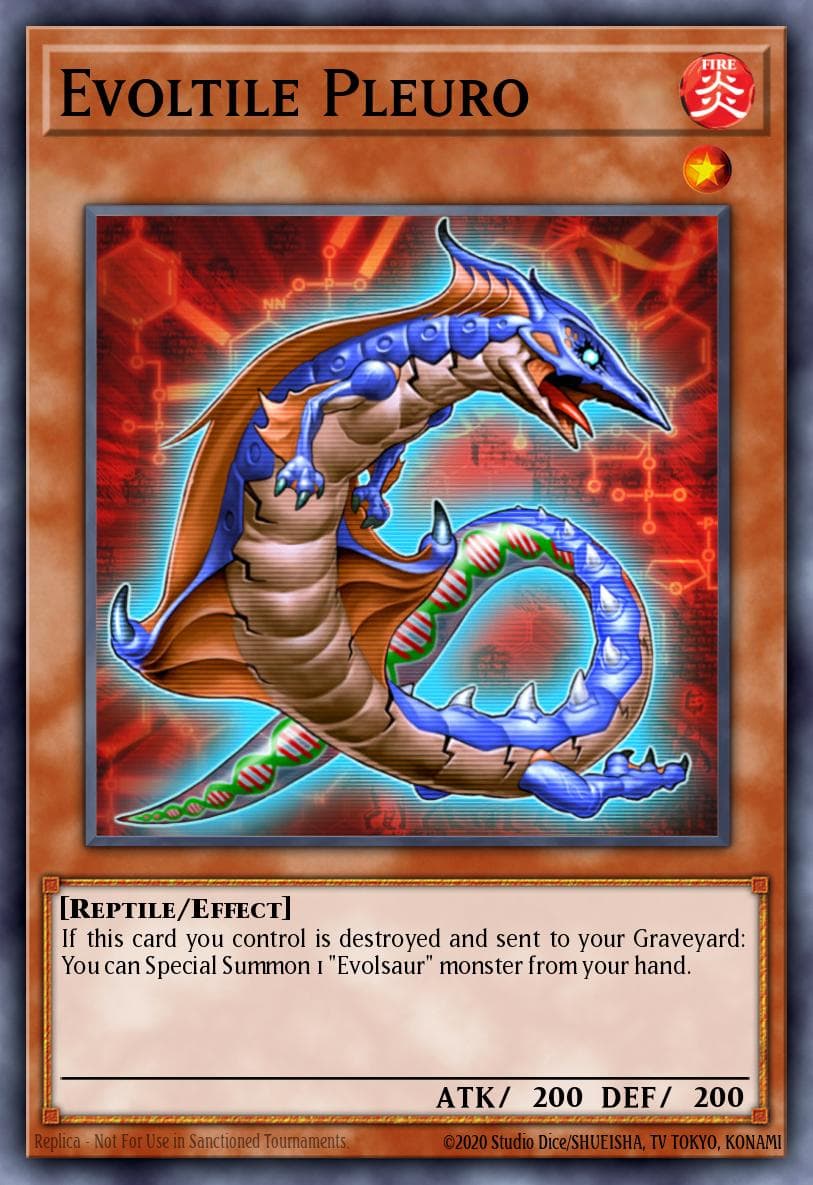 Evoltile Pleuro