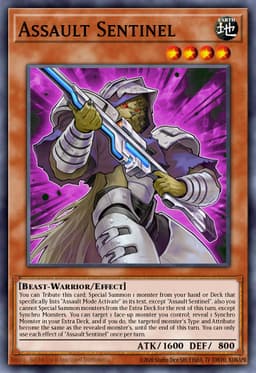 Assault Sentinel