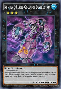 Number 30: Acid Golem of Destruction