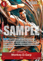 Monkey.D.Garp (Alternate Art)