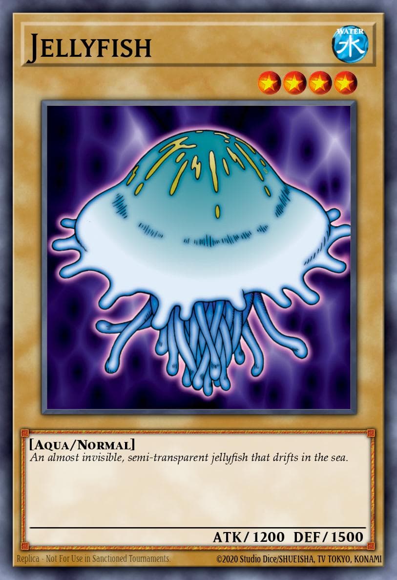 Jellyfish