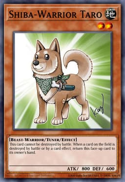 Shiba-Warrior Taro