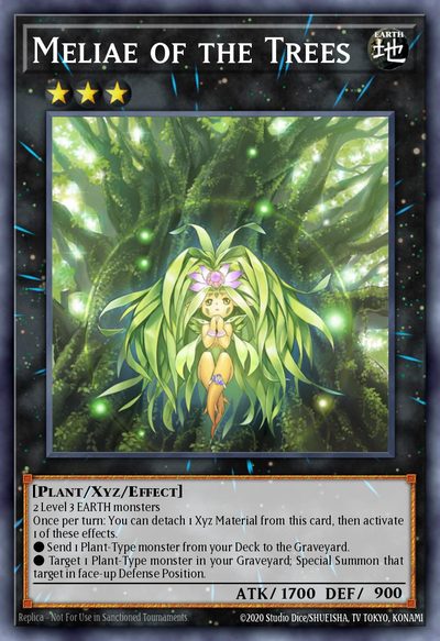 Meliae of the Trees