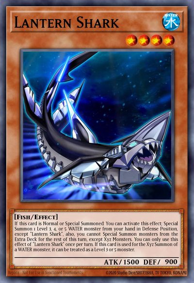 Lantern Shark