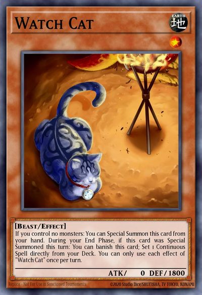 Watch Cat