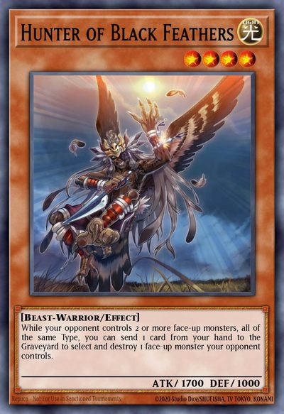 Hunter of Black Feathers