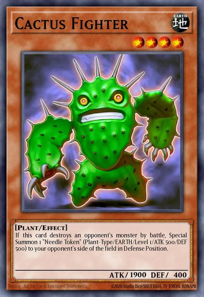Cactus Fighter