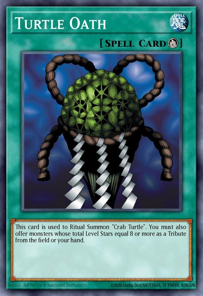 Turtle Oath