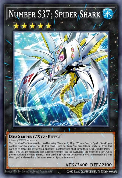 Number S37: Spider Shark
