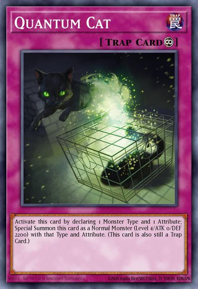 Quantum Cat